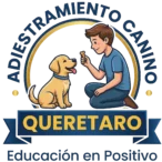 Adiestramiento Canino en Quer&eacute;taro a Domicilio